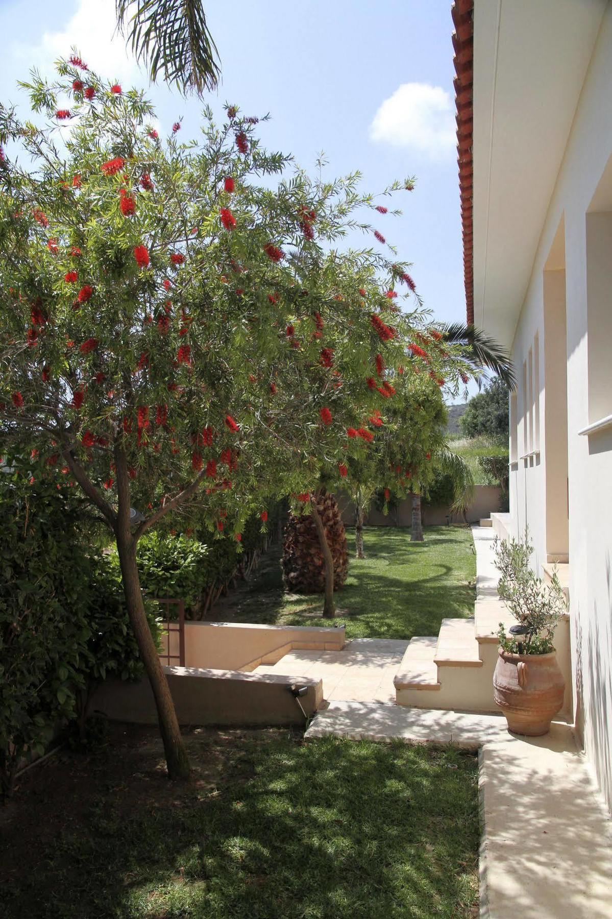 Eve Pissouri Xιnisteri Villa Exteriér fotografie